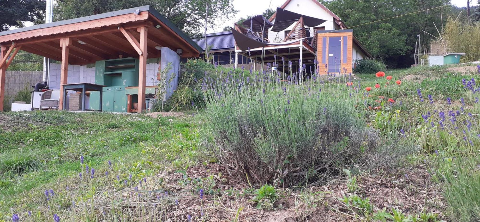 New Hope Land Apartman Nagymaros Exterior photo